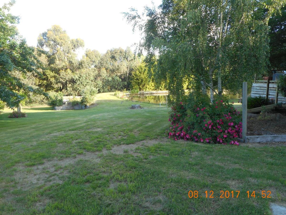 Wurrung B & B - The Cottage Woodend Εξωτερικό φωτογραφία